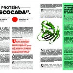 Revista13-6
