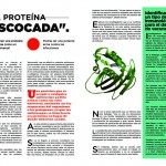 Revista13-zoom-6
