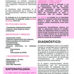 Revista17-30