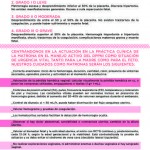 Revista17-31