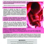 Revista17-32
