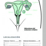 Revista17-48