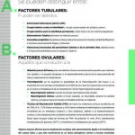 Revista17-49