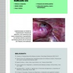 Revista17-53
