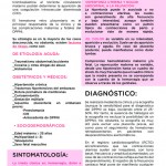 Revista17-zoom-30