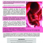 Revista17-zoom-32