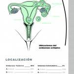 Revista17-zoom-48