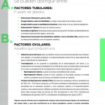 Revista17-zoom-49