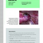 Revista17-zoom-53