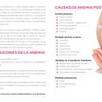 Revistadic-11