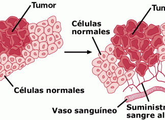 En 2020 habrá casi un 9% más de nuevos casos y muertes anuales por cáncer