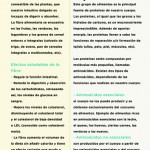 Revista20-40