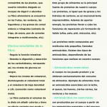 Revista20-zoom-40