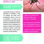 Revista202-24