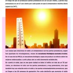 Revista202-26