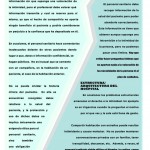 Revista202-zoom-19