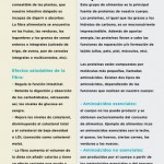 marzo-40