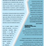 marzo-zoom-19