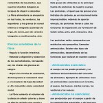 marzo-zoom-40