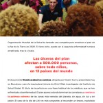 RevistaJunio-18