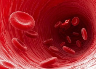 En 10 años habrá kits de glóbulos rojos artificiales para emergencias