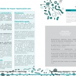 Monografico8-2