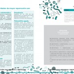 Monografico8-zoom-2