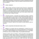 MONOGRAFICO-2-6