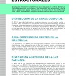 Monografico-3-3