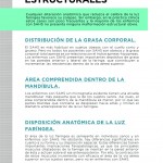 Monografico-3-zoom-3