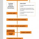Monografico-Junio2017-9