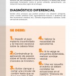 Monografico-Junio2017-zoom-3