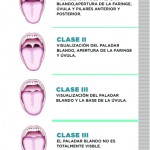 Monografico2ºtr2017-4