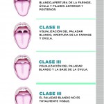 Monografico2ºtr2017-zoom-4
