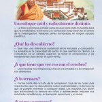 Revista25-38