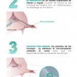 Revista25-48