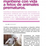 Revista25-zoom-25