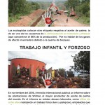 Revista25-zoom-33