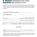 Revista25-zoom-44