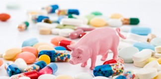 Una de cada diez muertes por resistencia a los antibióticos en la UE ocurre en España