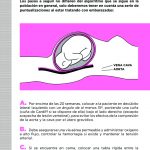 Monografico3T-zoom-3