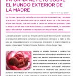 Revista-3T17-zoom-18