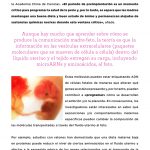 Revista-3T17-zoom-19