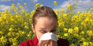 El Colegio acogerá una jornada sobre alergias respiratorias