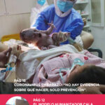 revista37-2-2020